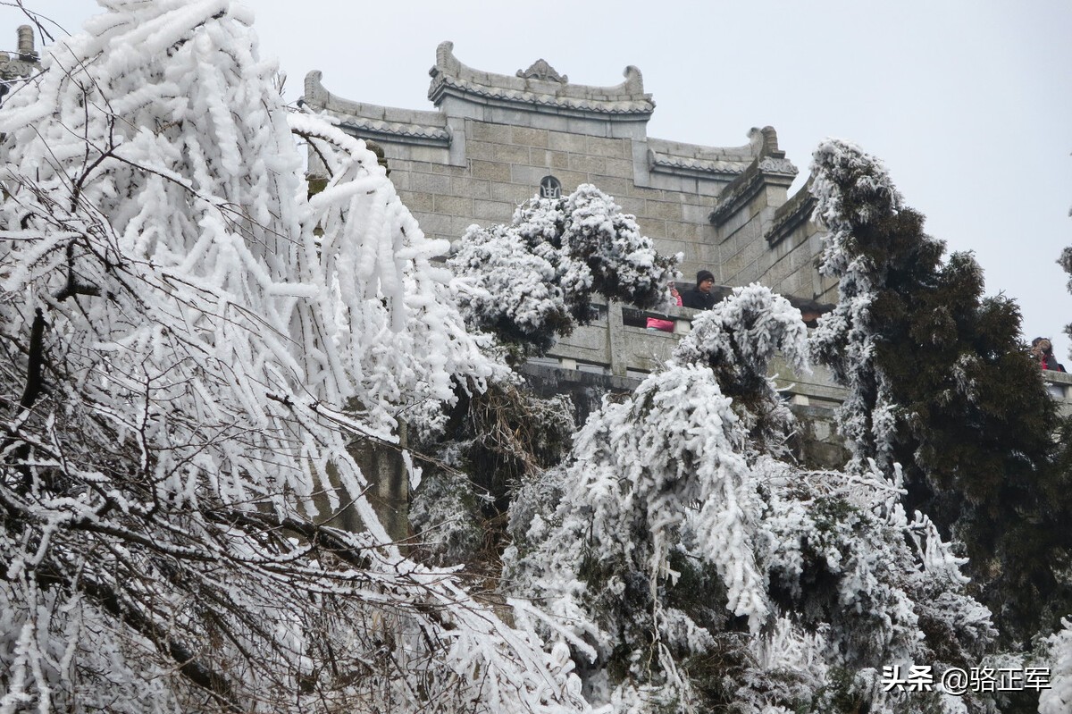 鍗楄僵灏忚鍏ㄩ泦鍏嶈垂闃呰,鍗楄僵浼犲鏁呬簨