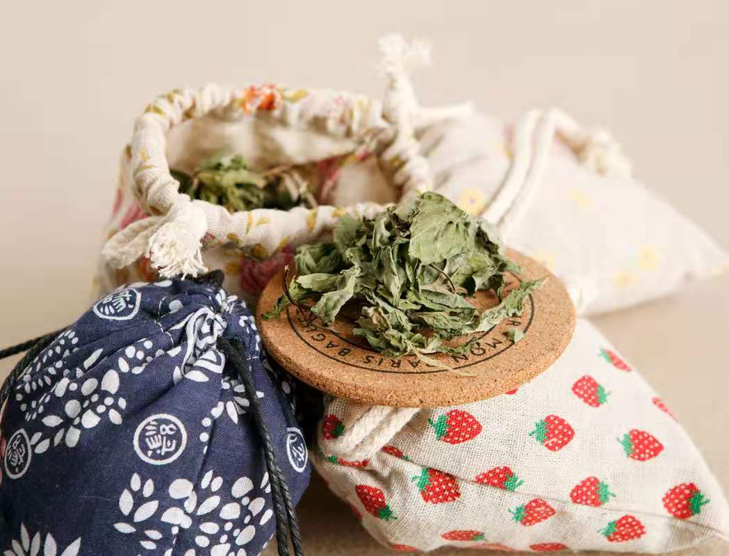 恙虫立克次体感染症状,恙虫病立克次体斑疹伤寒