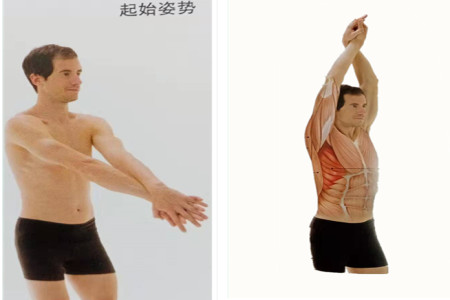 经常玩电脑腰酸背痛？大神教你6个独家拉伸技巧，背部轻松365天