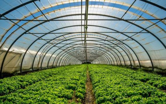 返乡创业致富有哪些挣钱点子,农业农村部返乡创业