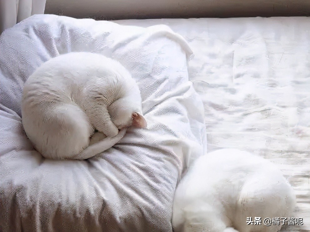 穿恨天高坐地铁的社死现场,两位男士都不忍看这次“崴脚表演”