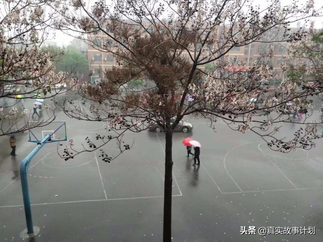 初中私立学校为何会劝退差生,在私立学校被变相劝退