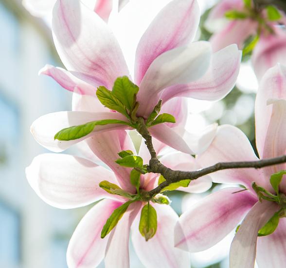 聊聊合肥,聊聊合肥职业技术学院