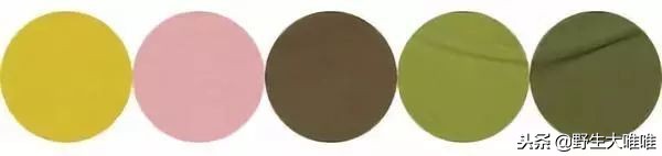 春天穿这些颜色真是美爆了,冬天穿这些颜色真的太美了