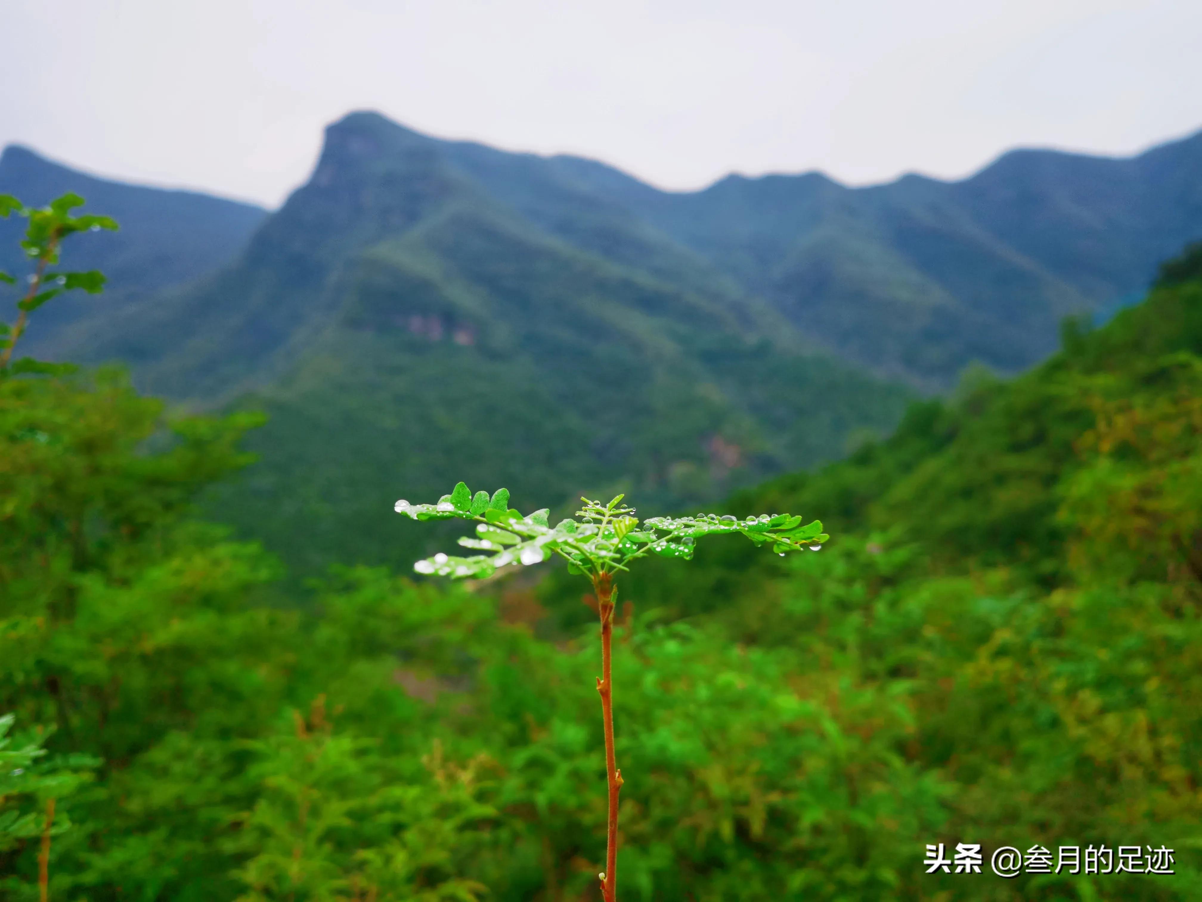 房山凤凰山登山步道攻略,北京房山凤凰山旅游攻略