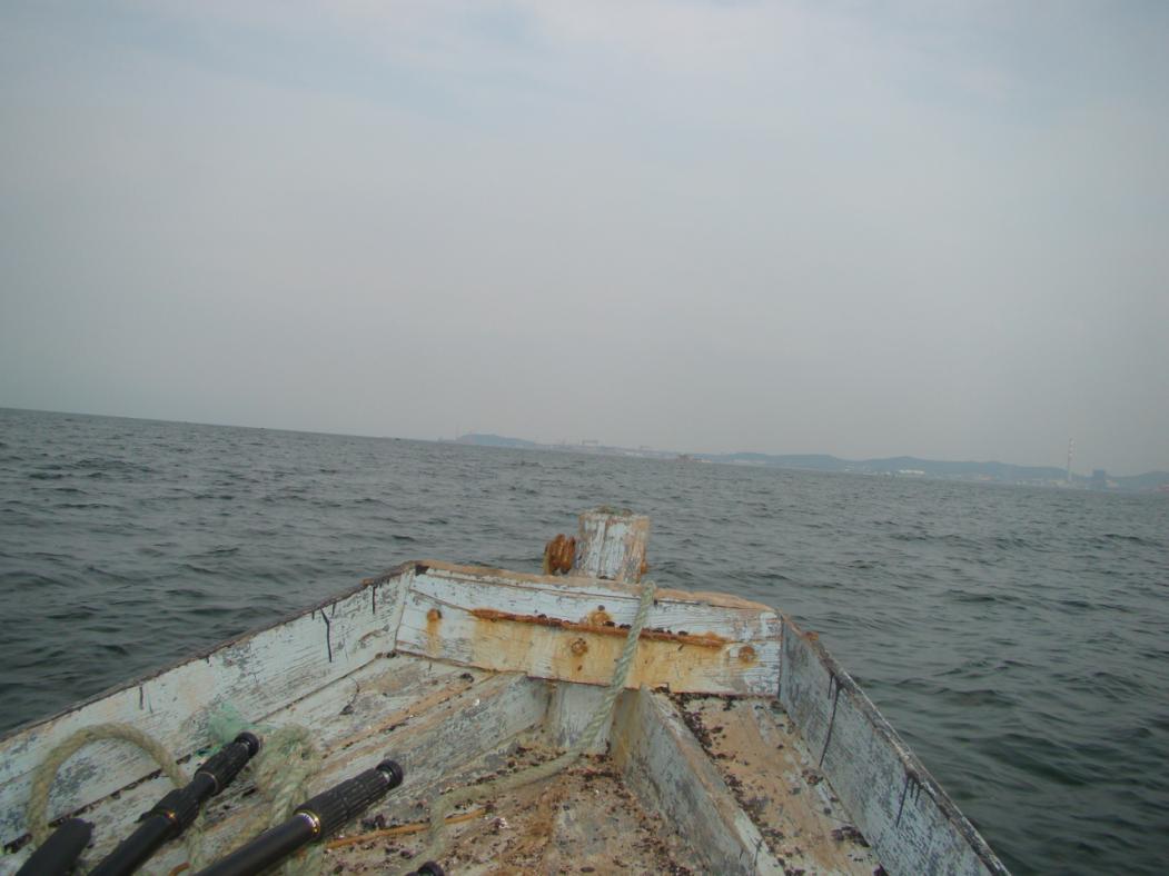 顾厂长所有视频,顾厂长讲话视频