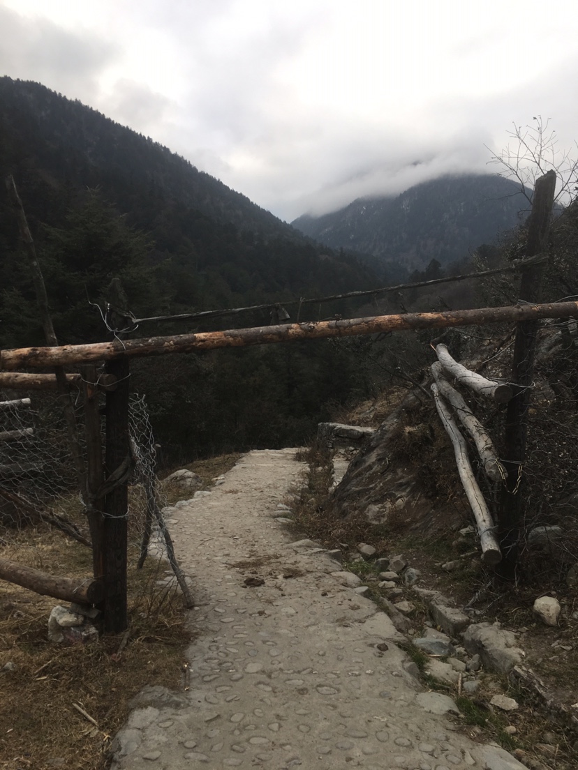 小龟王踏板车摩托车,小龟王踏板车整套外壳