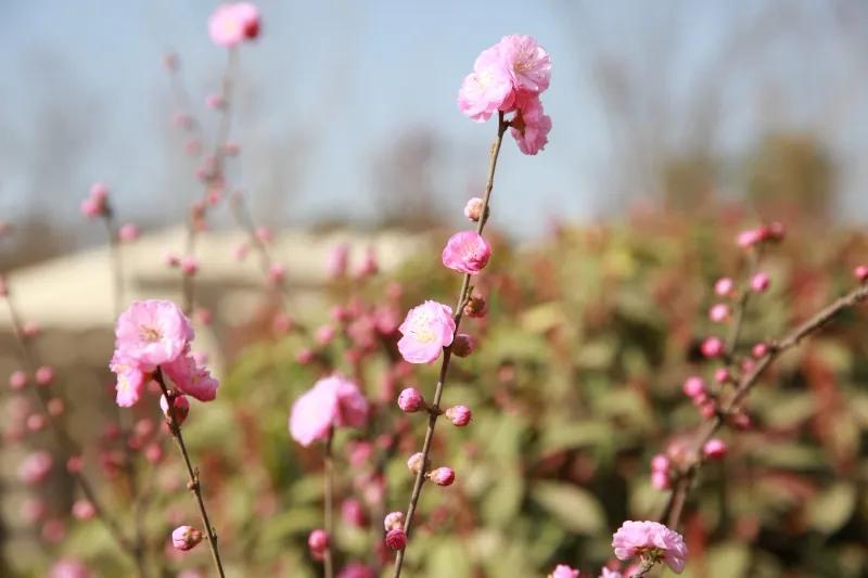 西安绝美打卡地,西安293公里网红打卡地