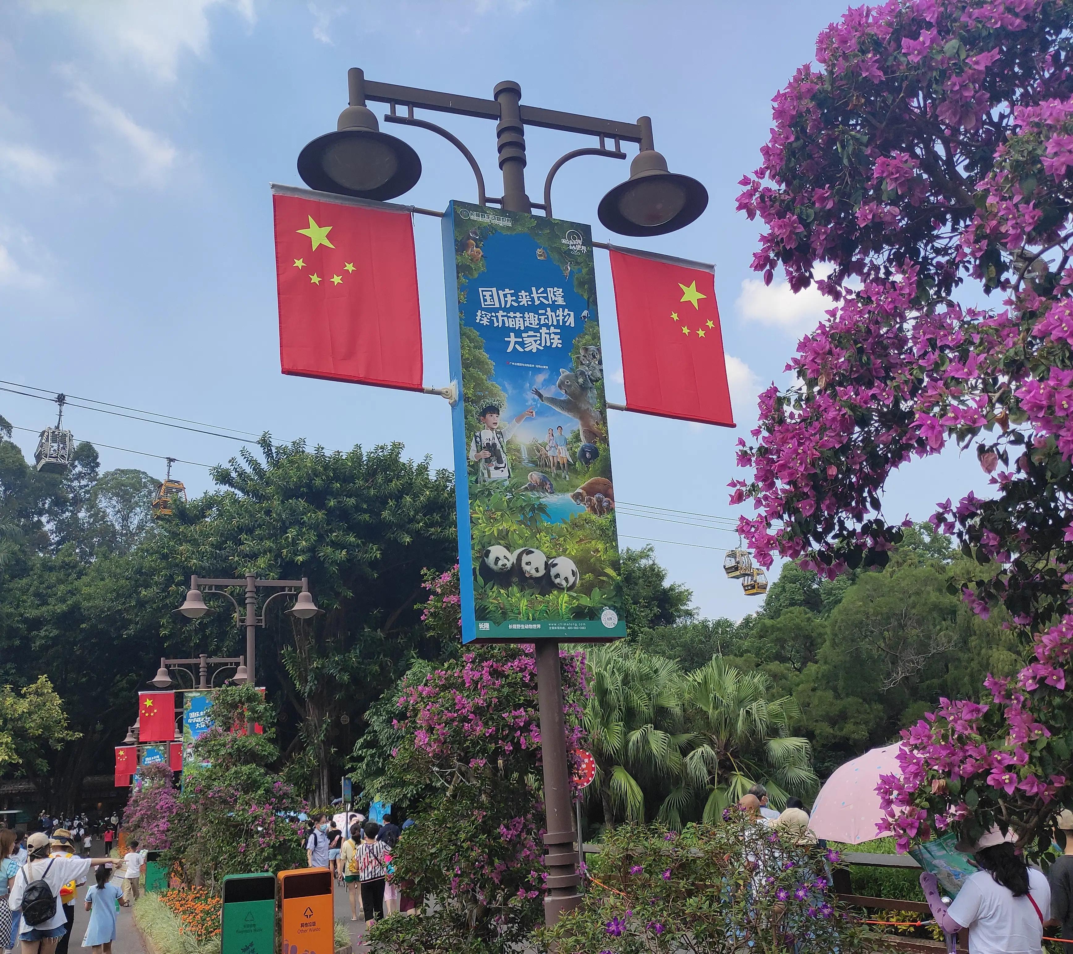 去汉溪长隆野生动物园,暑假广州长隆野生动物园攻略