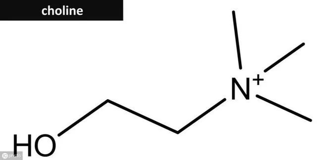 十种公认最减脂的食物,减脂营养素推荐