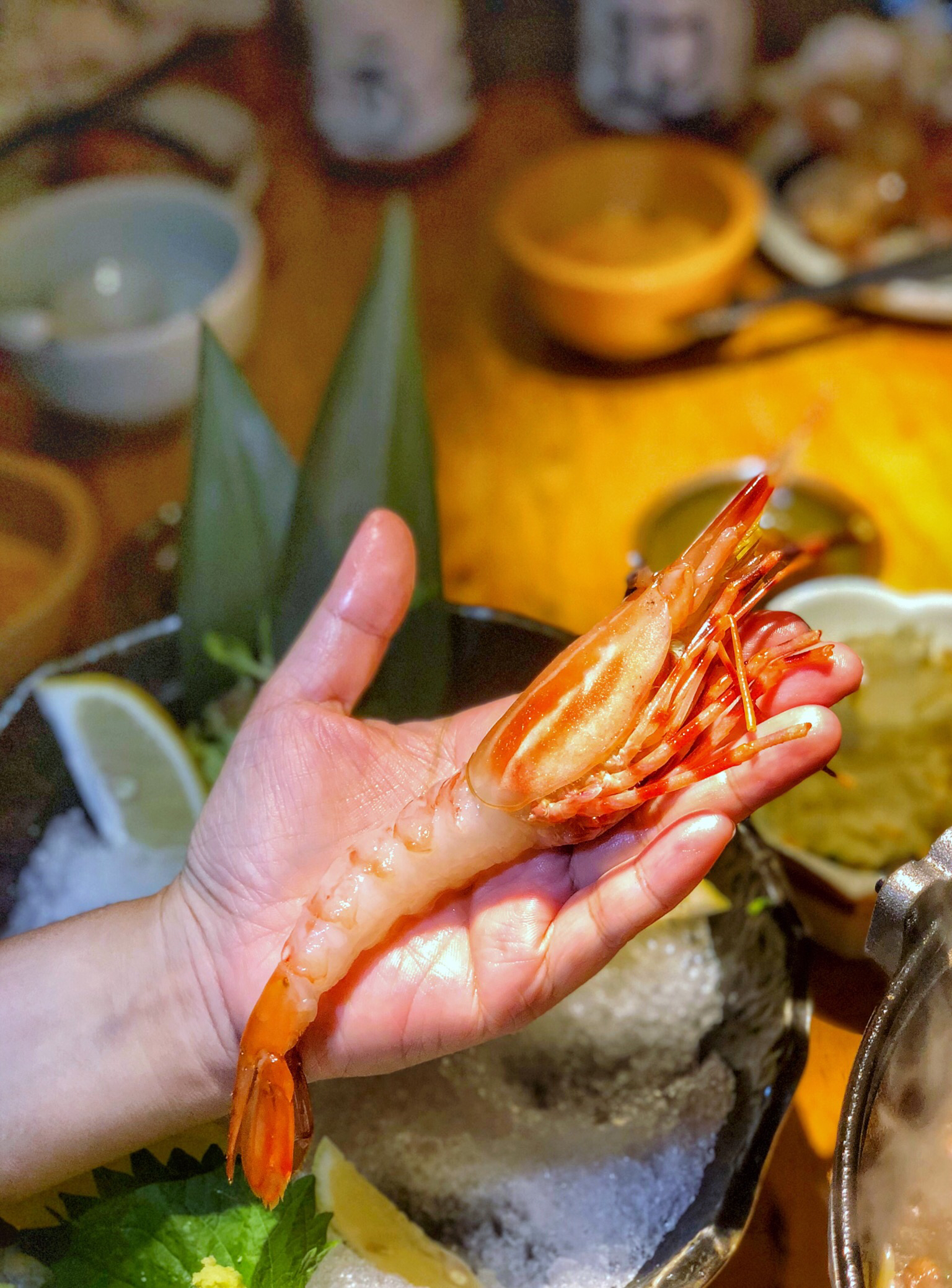 厦大学子的约会宝藏店,温暖人心的日式居酒屋“鲶.道居食屋”