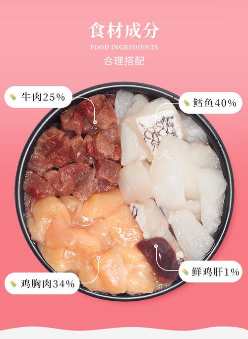 娇气的猫咪,喵星人是怎么养的