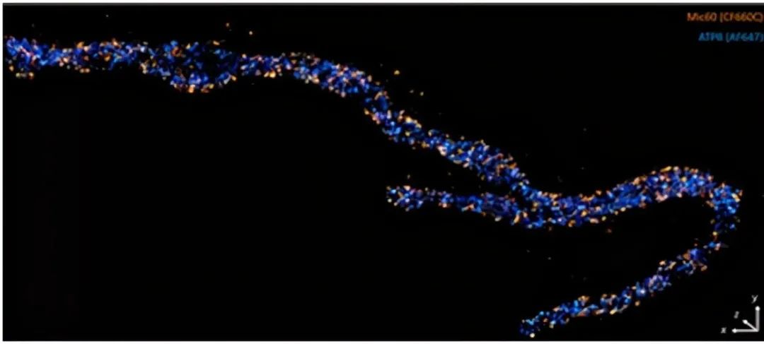 暑假孩子玩手机不如打篮球吧,儿童显微镜放大蚂蚁120倍