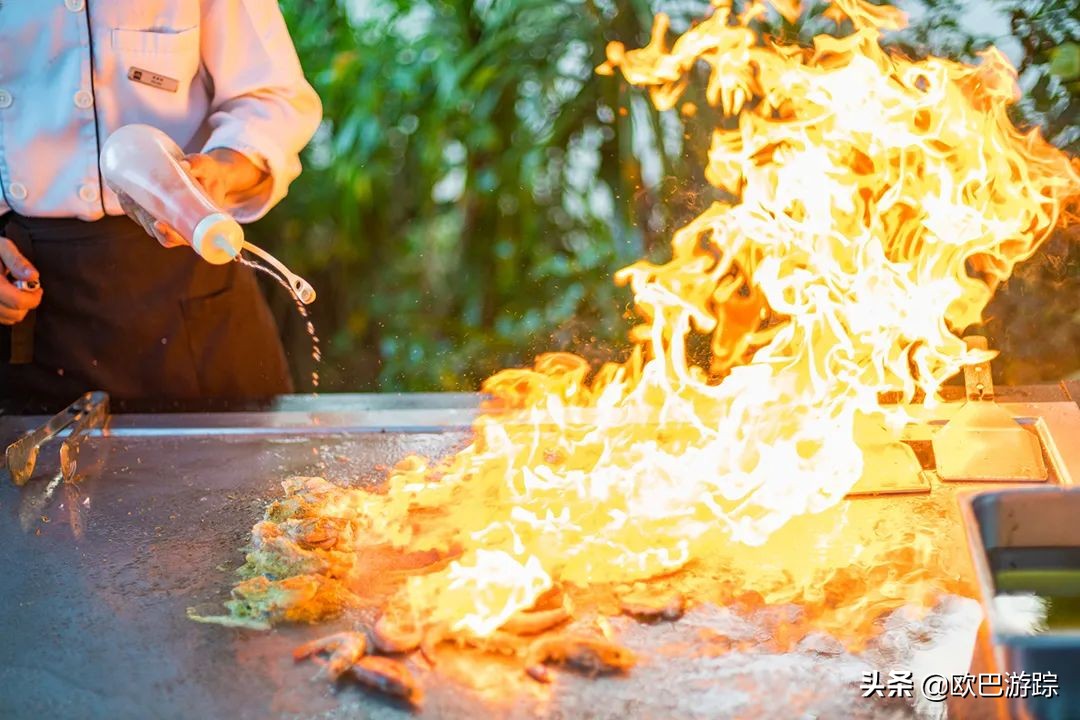 三亚维景国际别墅度假酒店简介,三亚亚龙湾维景国际度假酒店全貌