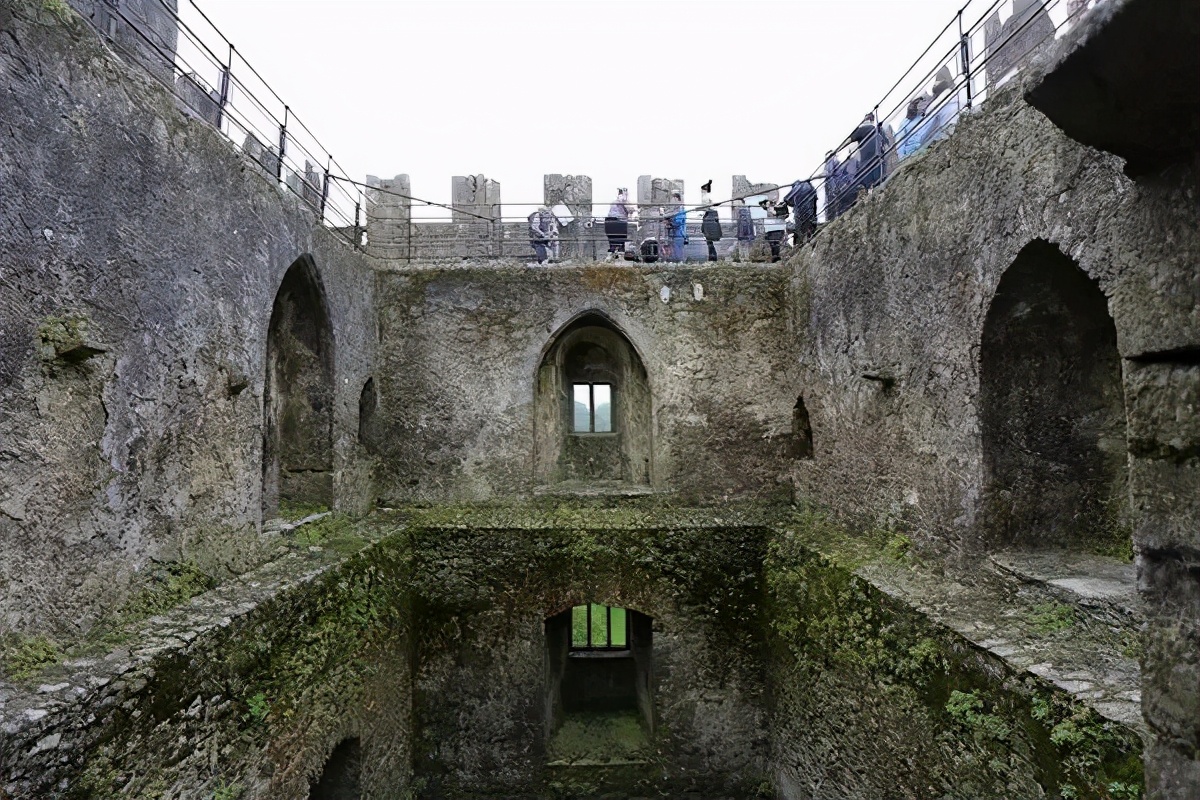 六年时间环游22个国家，却被多肉小萌物征服