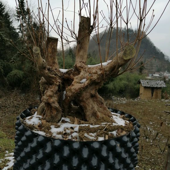 农村目前最有发展空间致富项目,农民工回乡创业有什么项目