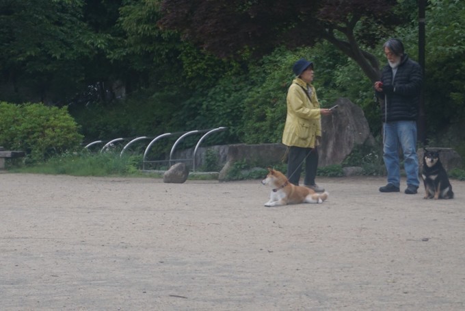 大阪蹦迪酒吧,京都大阪烧