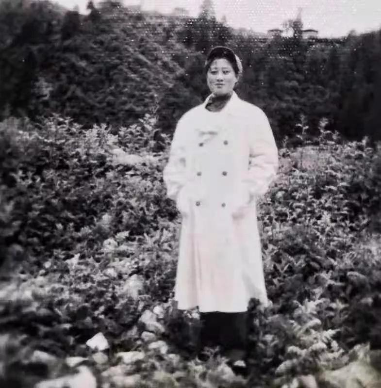 在*藏西**,我们的第三*战野**医院,我们的芳华……