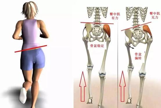 蜜桃臀可能是臀中肌最无聊的应用，还有3大功能，比美观更实用