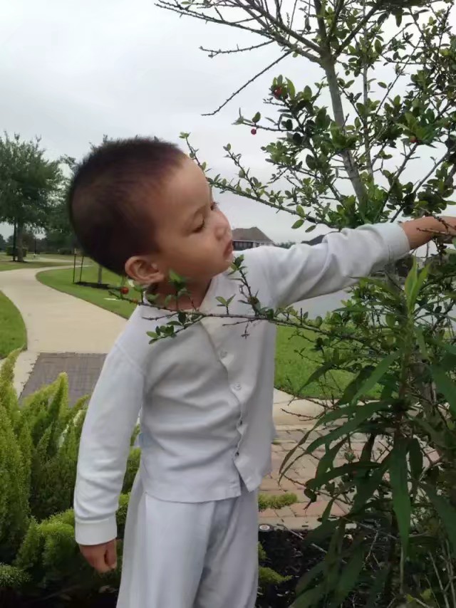 我的花匠旗舰店,我的花木兰