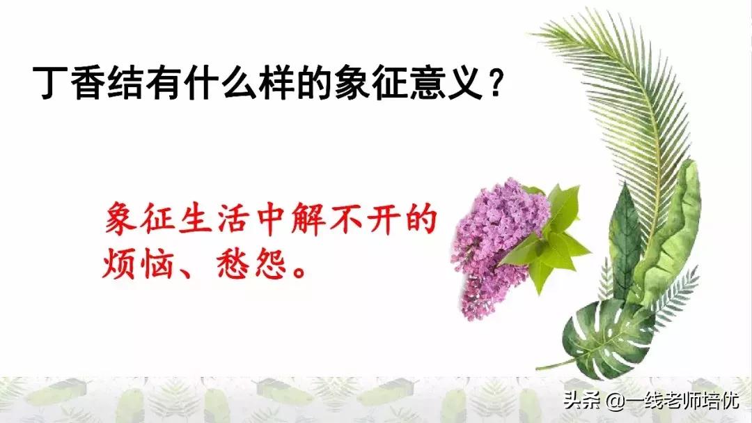六年级上册第二课丁香结知识点,部编版六年级上册语文丁香结预习