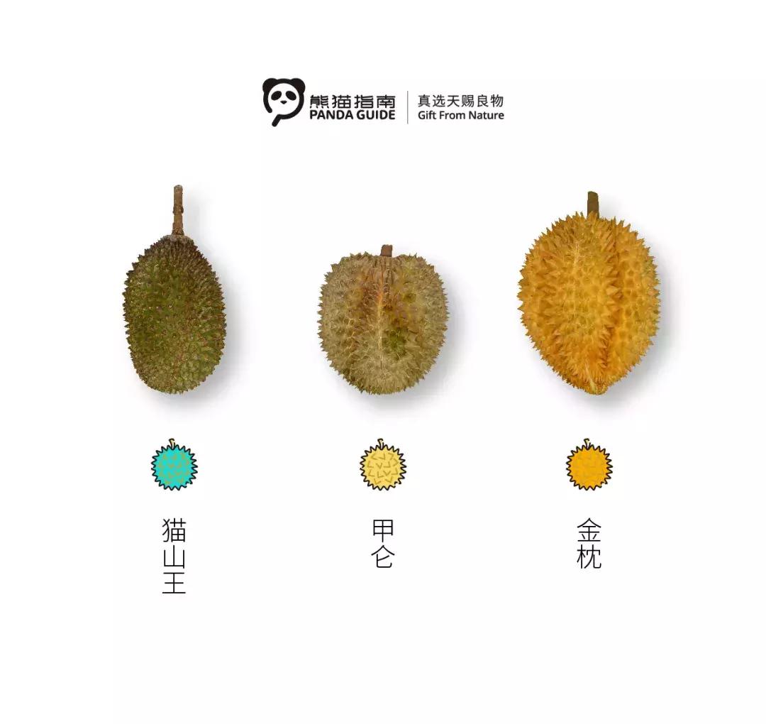 榴莲猫山王榴莲,金枕榴莲好还是猫山王榴莲好视频
