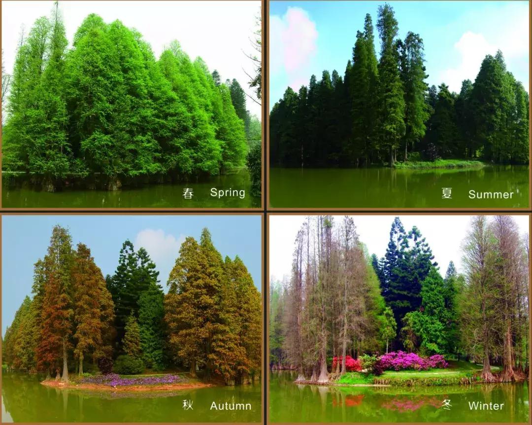 广州国庆旅游攻略大全图,广州最全景点攻略
