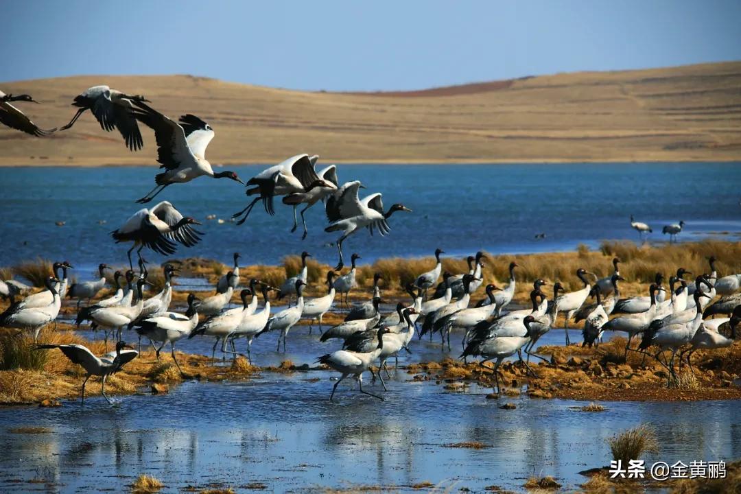 为什么云南女人长相好看,云南真的很漂亮吗