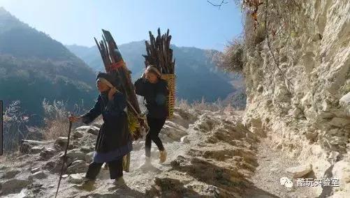 贪玩蓝月真实现状,贪玩蓝月是谁抓的