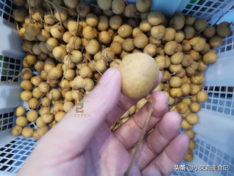 8月是吃龙眼的季节么,八月才熟的龙眼