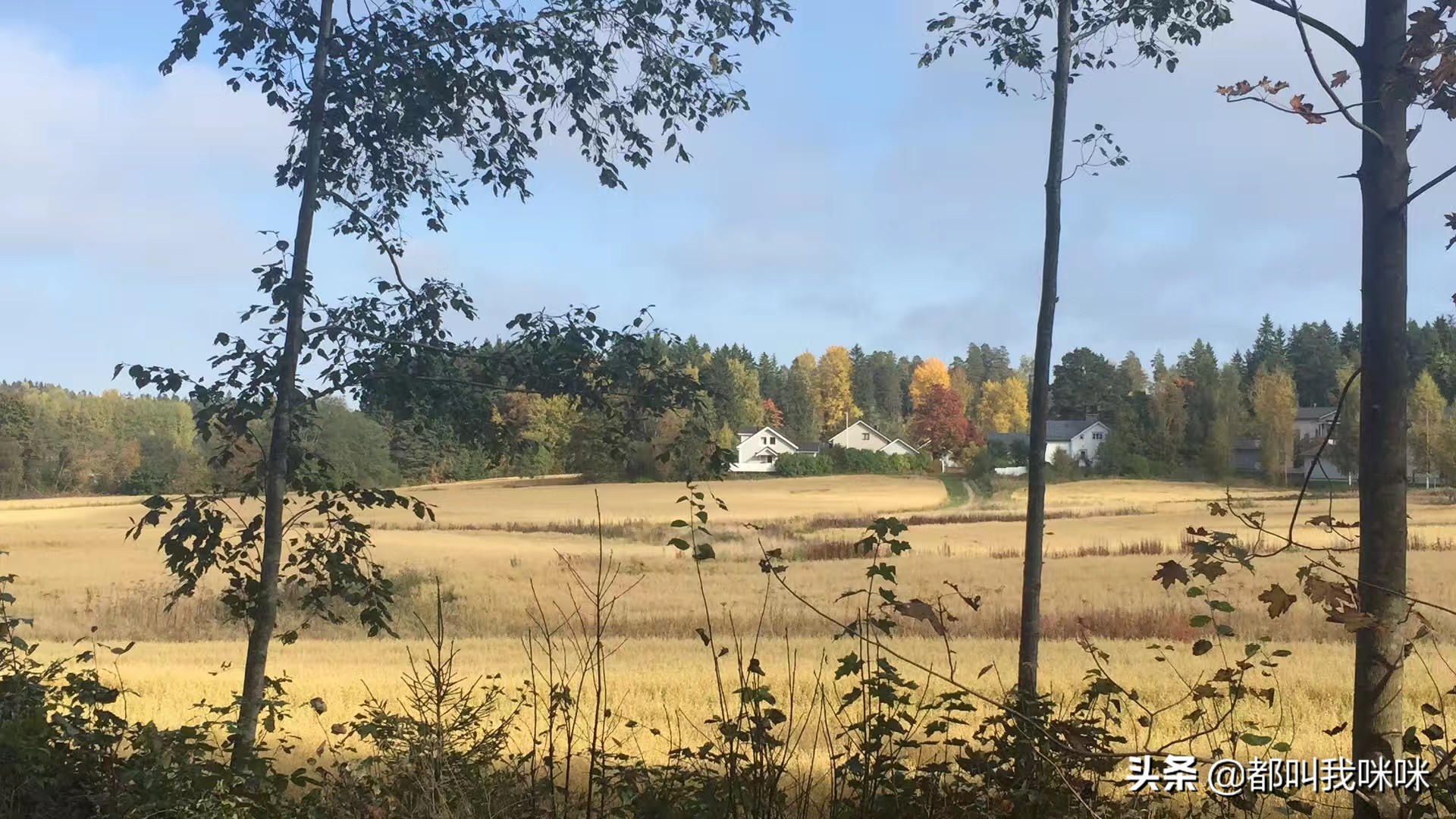北欧哪个国家生活舒服,北欧和欧洲哪个适合生活