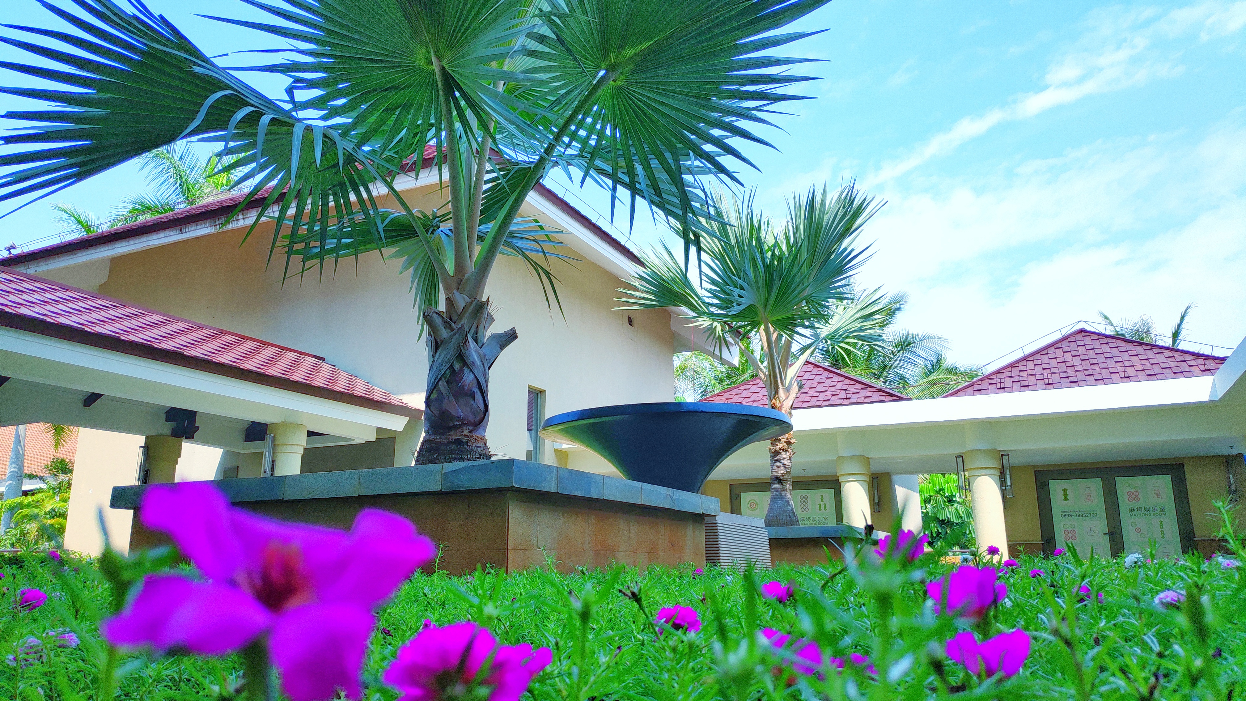 都是网红惹的祸,都是网红惹的祸完整版