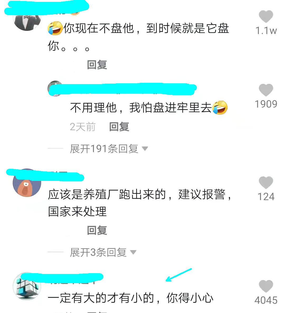 一名男子去河边钓鱼发现鳄鱼,无人区钓鱼遭鳄鱼袭击
