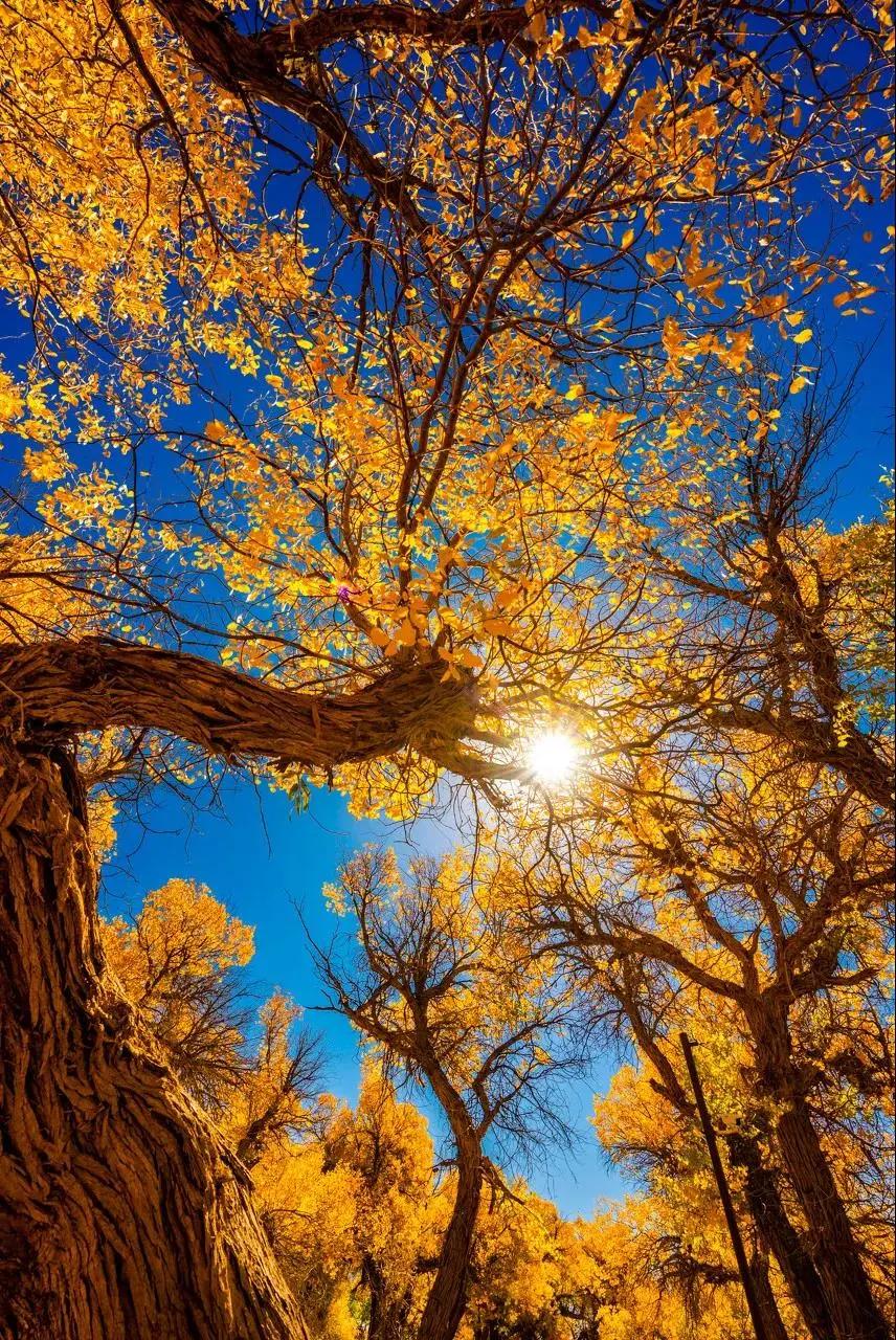 终于攒够了年假,年假怎么攒