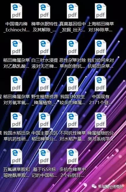 如何防除稗草,抗性稗草与普通稗草区别