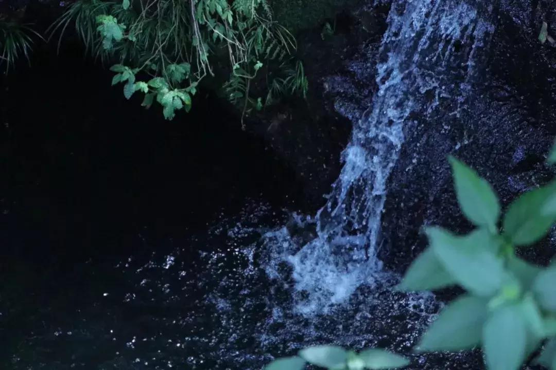成都耍水露营避暑的景点推荐,热得冒烟的天气