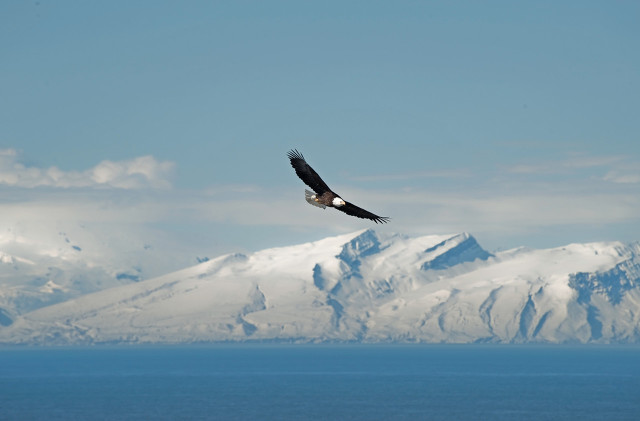90后创业辞职做电商,90后放弃稳定工作开餐饮店做老板