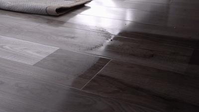 60秒竟能拖地1000次，相当于16个保洁请回家！妈妈再也不腰疼..