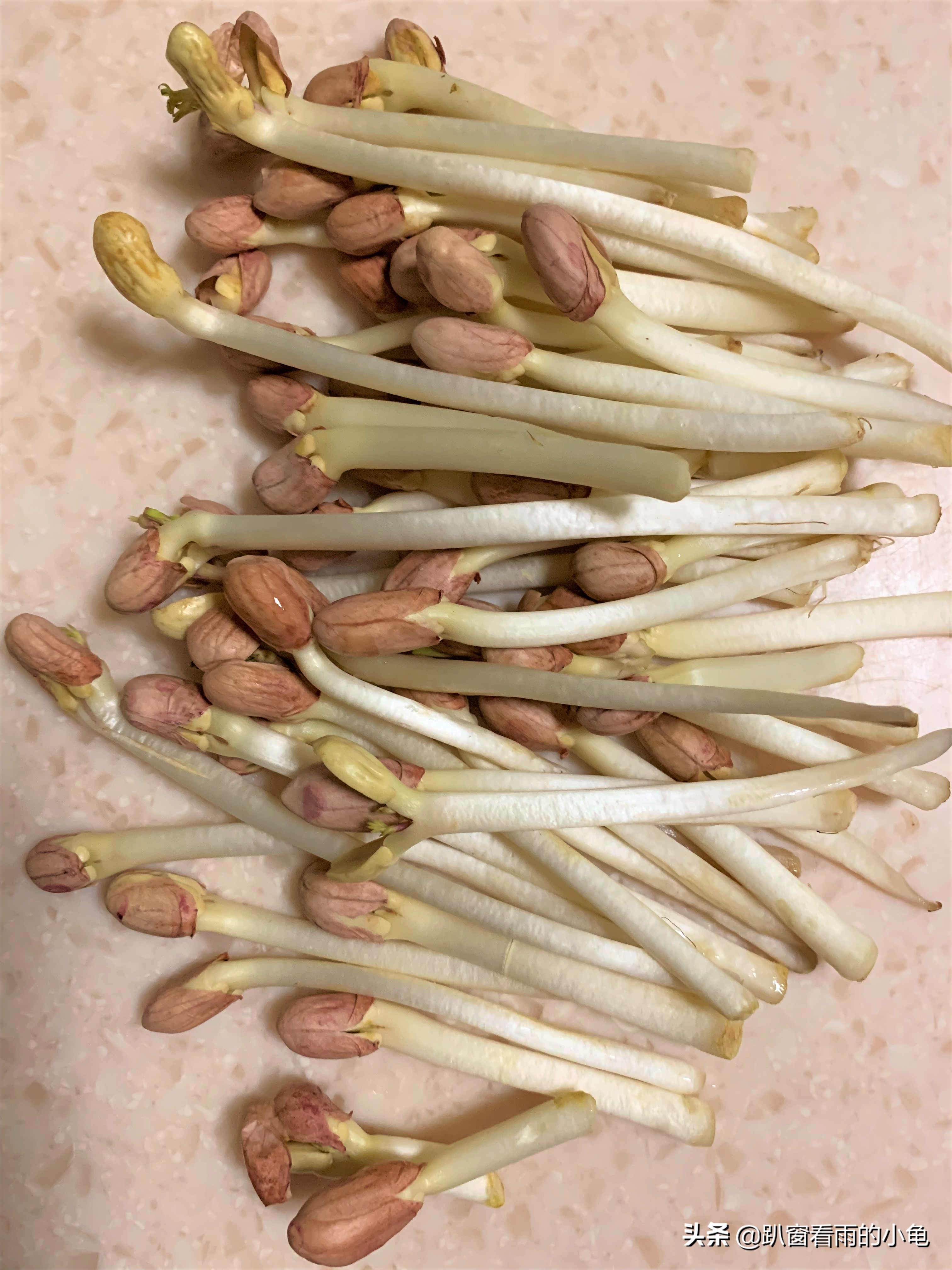 哪种花生芽又脆又好吃,百变花生