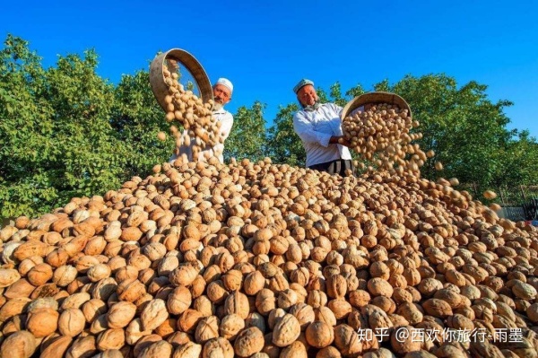 *疆新**瓜果攻略最好的季节配最美味的水果