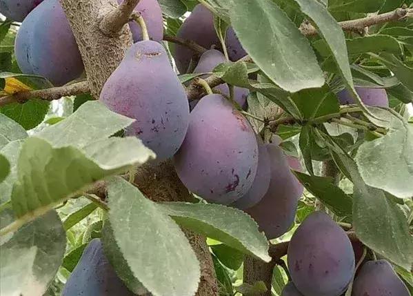 NO.874:阿克苏这个公司月工资5000元以上,看看你合不合适?