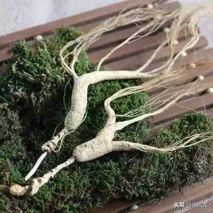 抚顺新宾满族自治县十大特产,抚顺特产单片木耳主要是哪种颜色