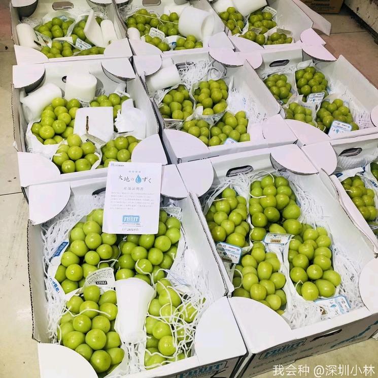 顶级阳光—大地之水一箱4串,2000元!网友:每一颗都是钱的味道