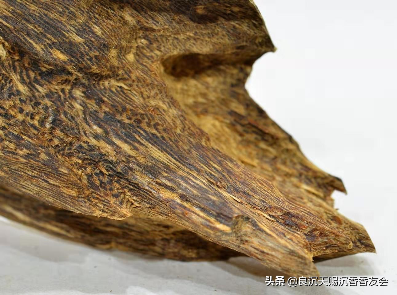 沉香及伪品沉香的鉴别,如何鉴别进口沉香与国产沉香