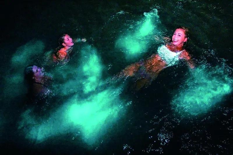 原来那片荧光海是真的存在的,荧光大海