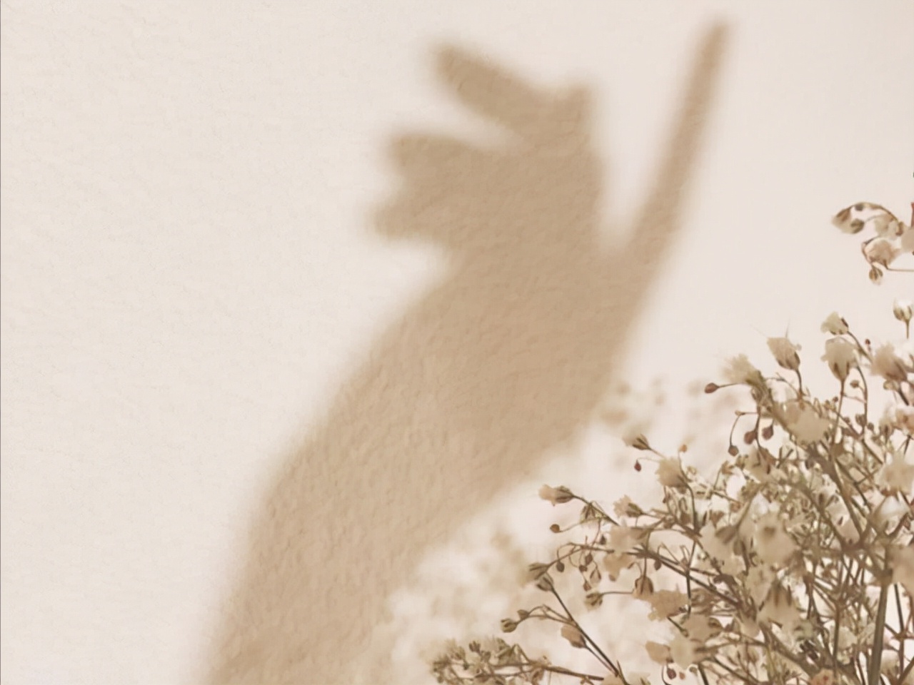 天蝎座知道的越多越心疼,天蝎座懂事让人心疼的表现