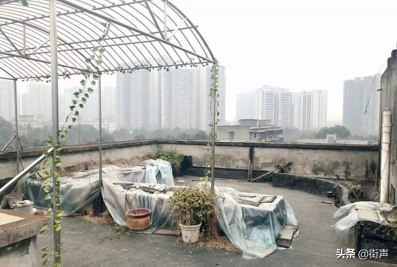 不再住地下室：9102新音乐人租房指南