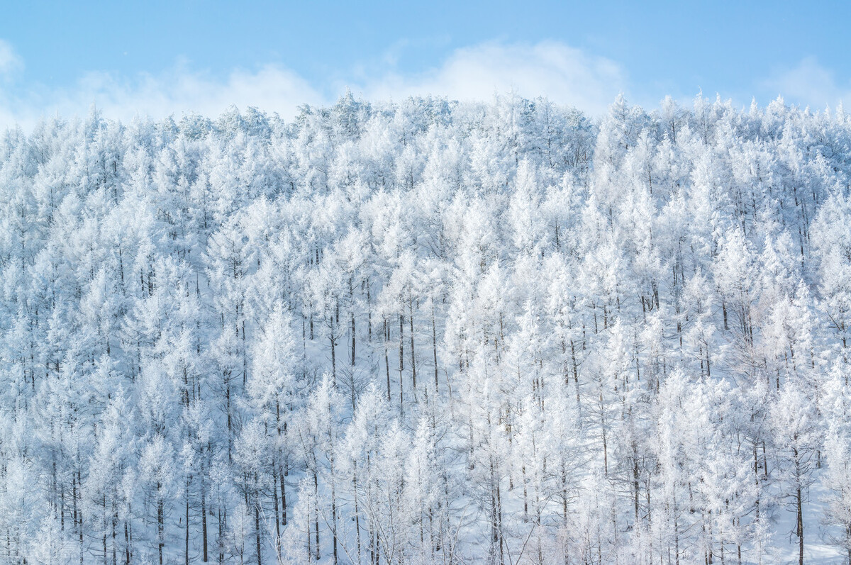 退役老兵马千里：日军为啥发动卢沟桥事变？“七七”事变84周年祭