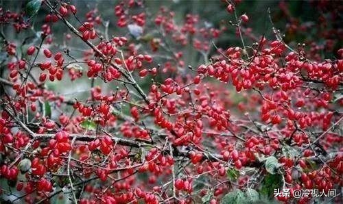 南阳怎样？看完你也会说“中！中！中！”