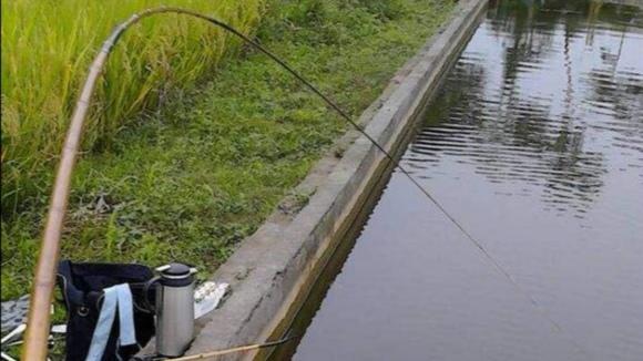 鱼竿种类区分，新手建议选用28调碳素竿，轻而拉力大